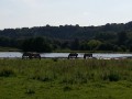2013-07-18 17_12 105